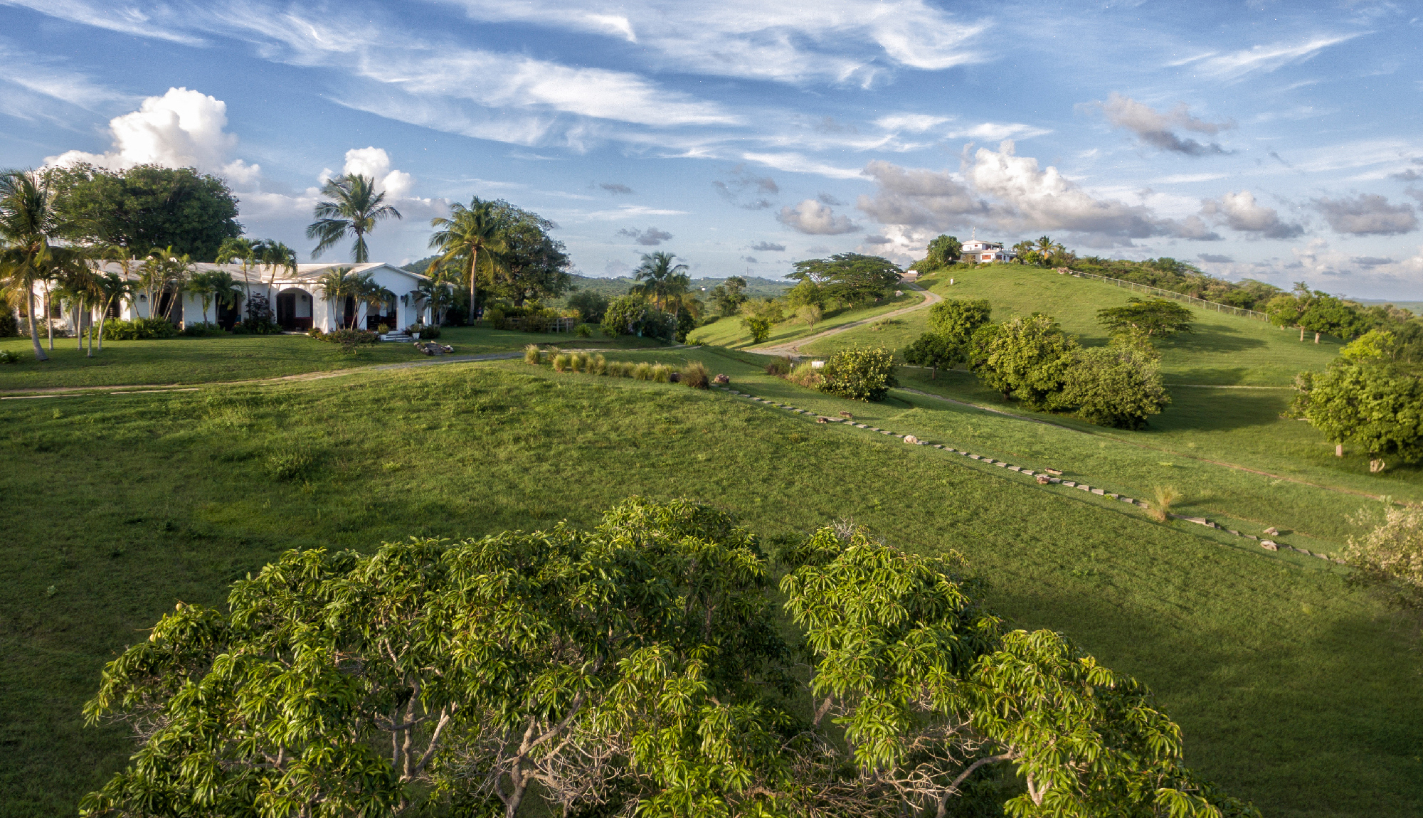 Grounds with fruit trees